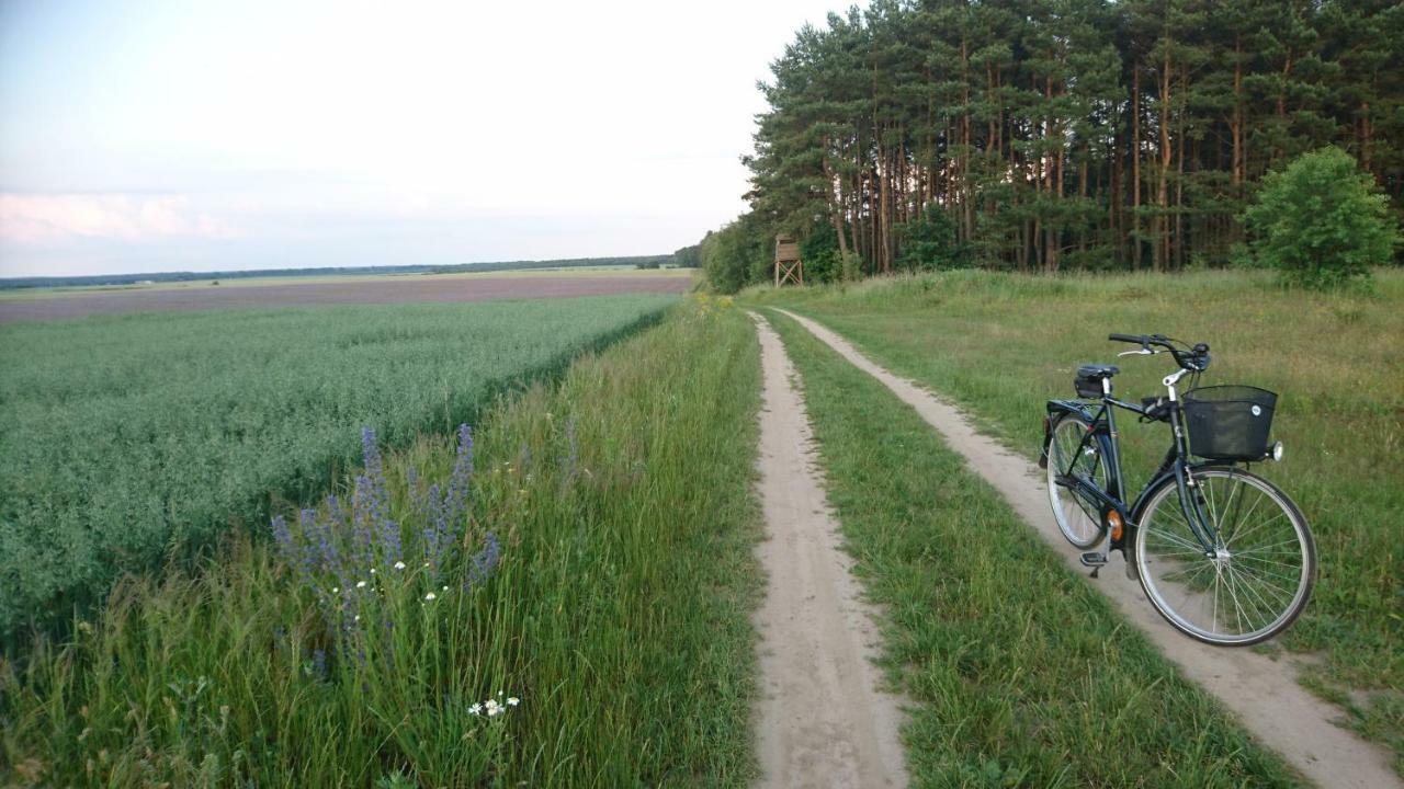 Domek Letniskowy Dario Ińsko 외부 사진
